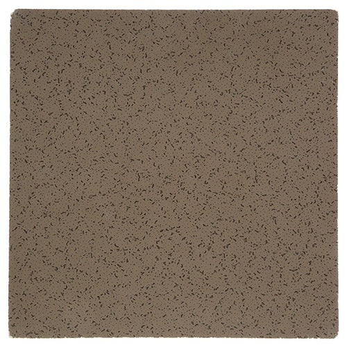 1591175 B2BFSI - Acoustic Brown Ceiling Tiles (2'x2') 1591175 B2BFSI - Acoustic Brown Ceiling Tiles (2'x2')